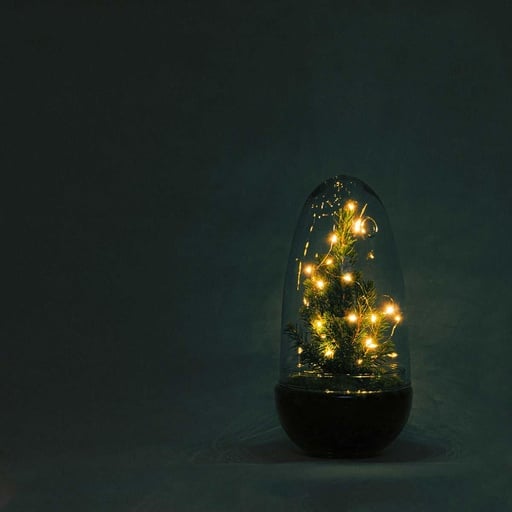 Flaschengarten Egg Christmas