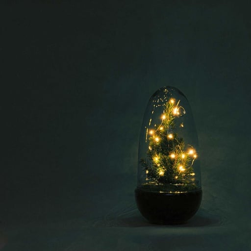 "Flaschengarten - Egg Christmas - Höhe ca. 25 cm image"