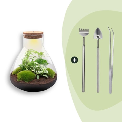 "Flaschengarten - Sam XL - ↕ 35 cm - Rake + Shovel + Tweezer image"