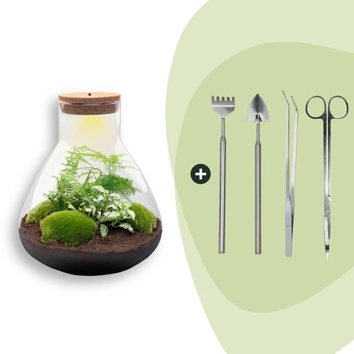 "Flaschengarten - Sam XL - ↕ 35 cm - Rake + Shovel + Tweezer + Scissors image"