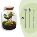 Flaschengarten - Milky - ↕ 30 cm - Rake + Shovel + Tweezer