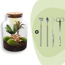 Flaschengarten - Milky - ↕ 30 cm - Rake + Shovel + Tweezer + Scissors