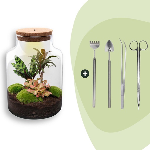 "Flaschengarten - Milky - ↕ 30 cm - Rake + Shovel + Tweezer + Scissors image"