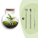 Flaschengarten - Teddy - ↕ 26,5 cm - Rake + Shovel + Tweezer