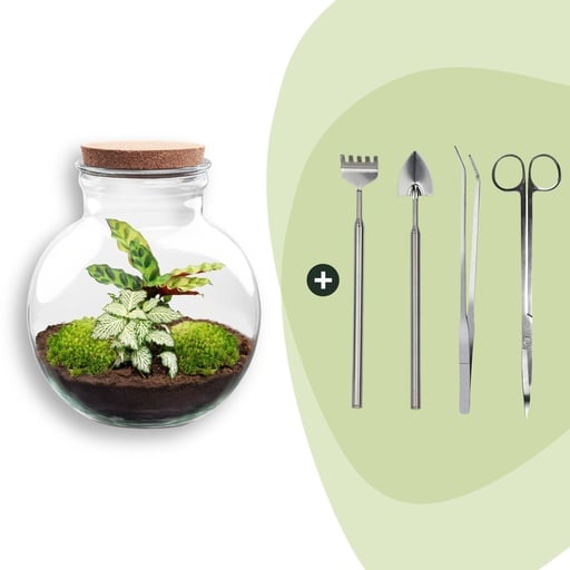 "Flaschengarten - Teddy - ↕ 26,5 cm - Rake + Shovel + Tweezer + Scissors image"