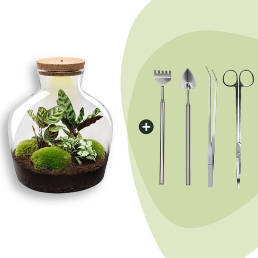 "Flaschengarten -  Fat Joe - ↕ 30 cm - Rake + Shovel + Tweezer + Scissors image"