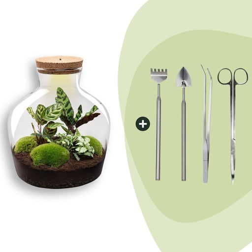"Flaschengarten - Fat Joe - Höhe ca. 30 cm - Rake + Shovel + Tweezer + Scissors image"