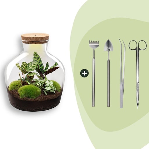 "Flaschengarten - Fat Joe - Höhe ca. 30 cm - Rake + Shovel + Tweezer + Scissors image"