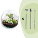 Flaschengarten - Dome - ↕ 20 cm - Rake + Shovel + Tweezer