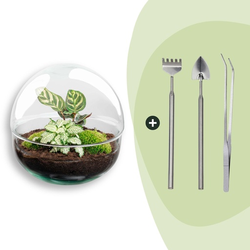 "Flaschengarten - Dome - ↕ 20 cm - Rake + Shovel + Tweezer image"
