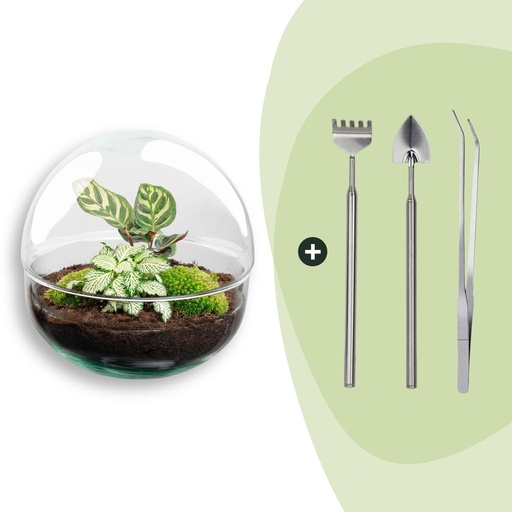 "Flaschengarten - Dome - Höhe ca. 20 cm - Rake + Shovel + Tweezer image"