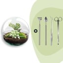 Flaschengarten - Dome - ↕ 20 cm - Rake + Shovel + Tweezer + Scissors
