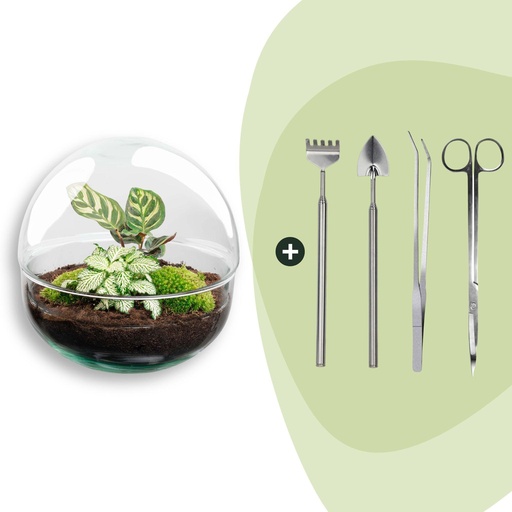 "Flaschengarten - Dome - ↕ 20 cm - Rake + Shovel + Tweezer + Scissors image"