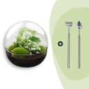 Flaschengarten - Dome XL - ↕ 30 cm - Rake + Shovel