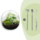 Flaschengarten - Dome XL - ↕ 30 cm - Rake + Shovel + Tweezer