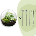 Flaschengarten - Dome XL - ↕ 30 cm - Rake + Shovel + Tweezer + Scissors