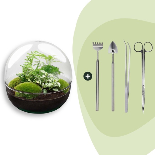 "Flaschengarten - Dome XL - ↕ 30 cm - Rake + Shovel + Tweezer + Scissors image"