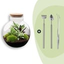 Flaschengarten - Bolder Bob - ↕ 30 cm - Rake + Shovel + Tweezer