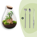 Flaschengarten - Drop XL - ↕ 37 cm - Rake + Shovel + Tweezer