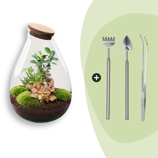 "Flaschengarten - Drop XL - Höhe ca. 37 cm - Rake + Shovel + Tweezer image"