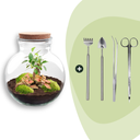 Flaschengarten - Teddy bonsai - ↕ 26,5 cm - Rake + Shovel + Tweezer + Scissors