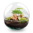Flaschengarten - Dome Rot - ↕ 20 cm - Normal