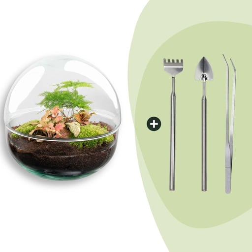 "Flaschengarten - Dome Rot - ↕ 20 cm - Rake + Shovel + Tweezer image"