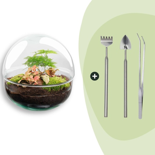 "Flaschengarten - Dome Rot - Höhe ca. 20 cm - Rake + Shovel + Tweezer image"