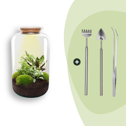 "Flaschengarten - Botanical Sven XL - ↕ 43 cm - Rake + Shovel + Tweezer image"