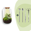 Flaschengarten - Botanical Sven XL - ↕ 43 cm - Rake + Shovel + Tweezer + Scissors