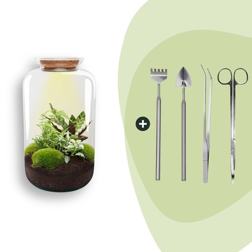"Flaschengarten - Botanical Sven XL - Höhe ca. 43 cm - Rake + Shovel + Tweezer + Scissors image"