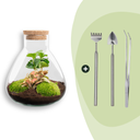 Flaschengarten - Sammie Coffea - ↕ 26 cm - Rake + Shovel + Tweezer