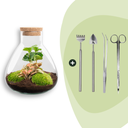 Flaschengarten - Sammie Coffea - ↕ 26 cm - Rake + Shovel + Tweezer + Scissors 