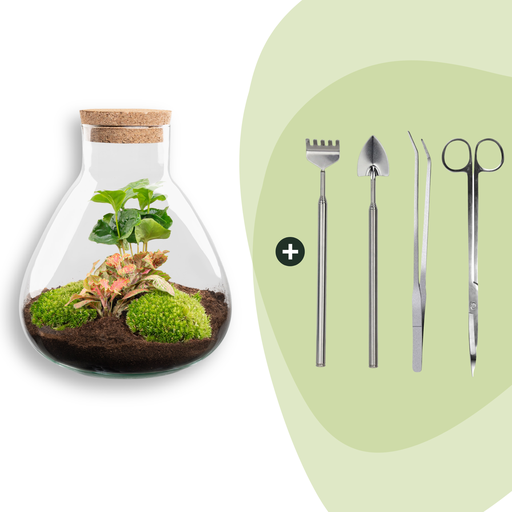 "Flaschengarten - Sammie Coffea - ↕ 26 cm - Rake + Shovel + Tweezer + Scissors  image"