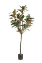 Kunstpflanze - Magnolia Grandiflora - 150 cm