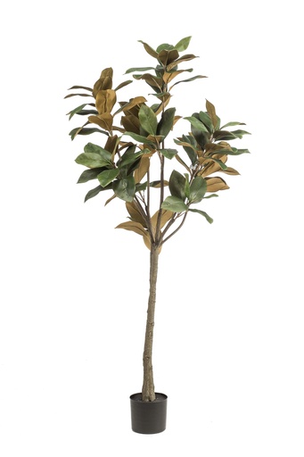 Kunstpflanze Magnolia Grandiflora 150 cm