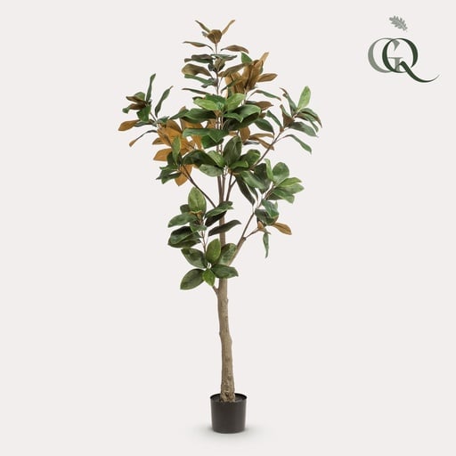 "Kunstpflanze - Magnolia Grandiflora - 180 cm image"