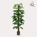Kunstpflanze - Monstera Deliciosa - Löcherpflanze - 180 cm
