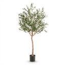 Kunstpflanze - Olea europaea - Olivenbaum - 180 cm