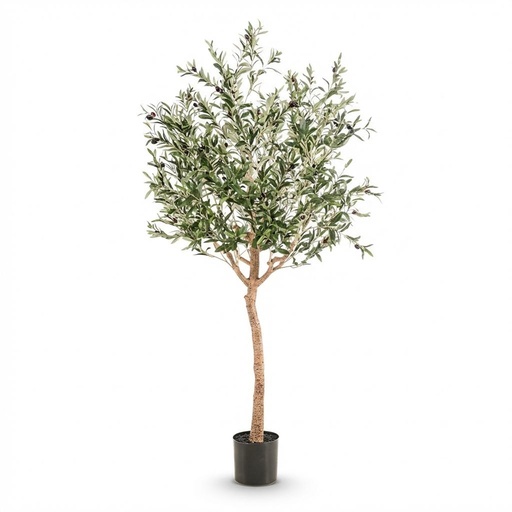 "Kunstpflanze - Olea europaea - Olivenbaum - 180 cm image"