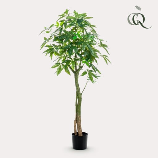 "Kunstpflanze - Pachira Aquatica - Glückskastanie - 150 cm image"