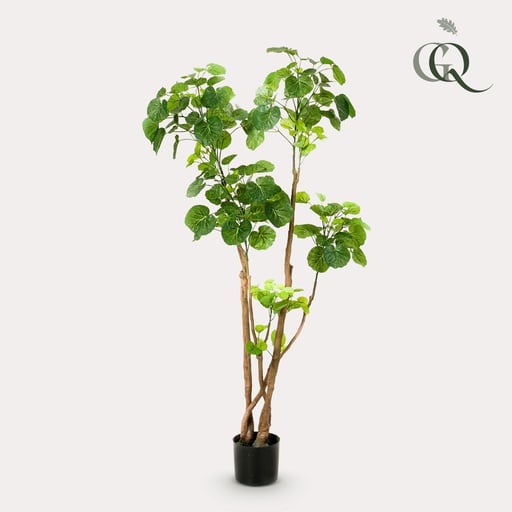 "Kunstpflanze - Polyscias - Aralia - 135 cm image"