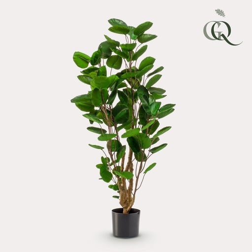 "Kunstpflanze - Polyscias - Aralia - 105 cm image"