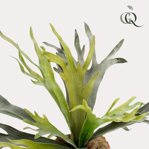 "Kunstpflanze - Staghorn Farn - Geweihfarn - 50 cm image"