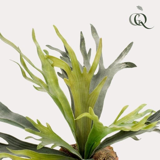 "Kunstpflanze - Staghorn Farn - Geweihfarn - 50 cm image"