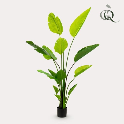 "Kunstpflanze - Strelitzia Nicolai - Paradiesvogelblume - 150 cm image"
