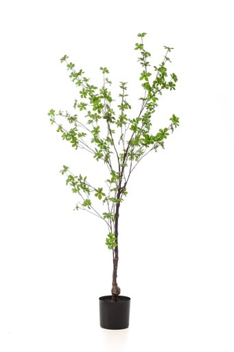 "Kunstpflanze - Tropaeolum Speciosum - Ostindische Kirsche - 150 cm image"