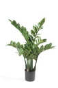 Kunstpflanze - Zamioculcas - Zimerpalme - 70 cm