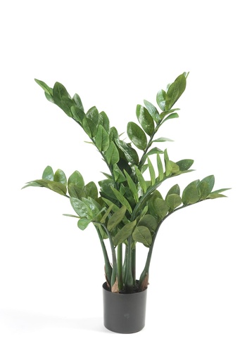 "Kunstpflanze - Zamioculcas - Zimerpalme - 70 cm image"