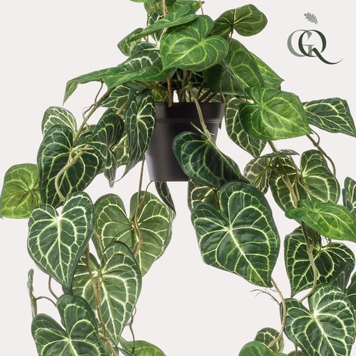 "Kunstpflanze - Anthurium Clarinervium - 80 cm image"